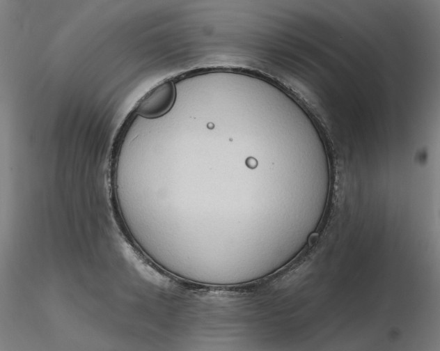 X0000116510942200912231230