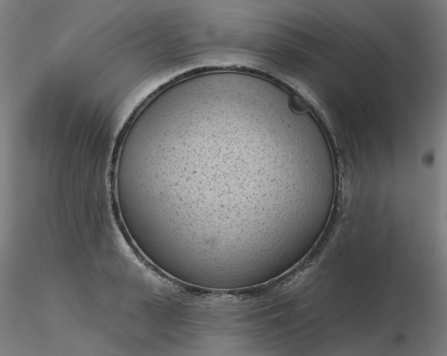 X0000116510943200912231230