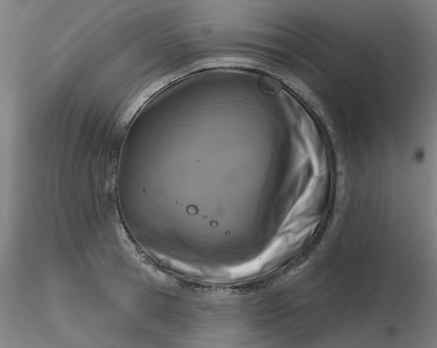 X0000116510945200912231230