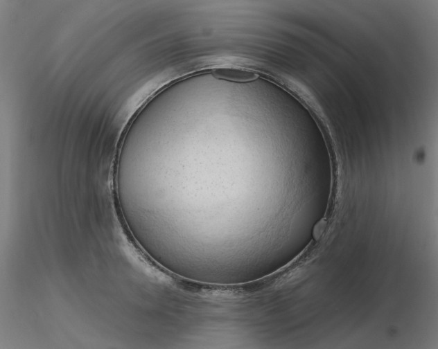 X0000116510946200912231230