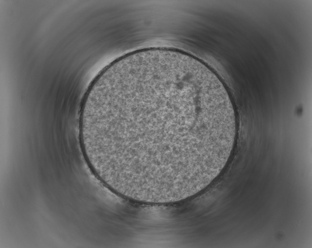 X0000116510950200912231230