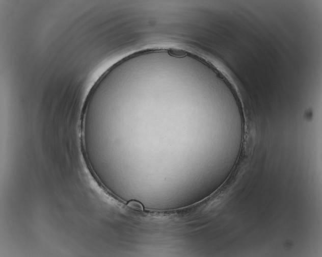 X0000116510951200912231230