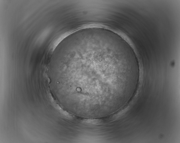 X0000116510953200912231230