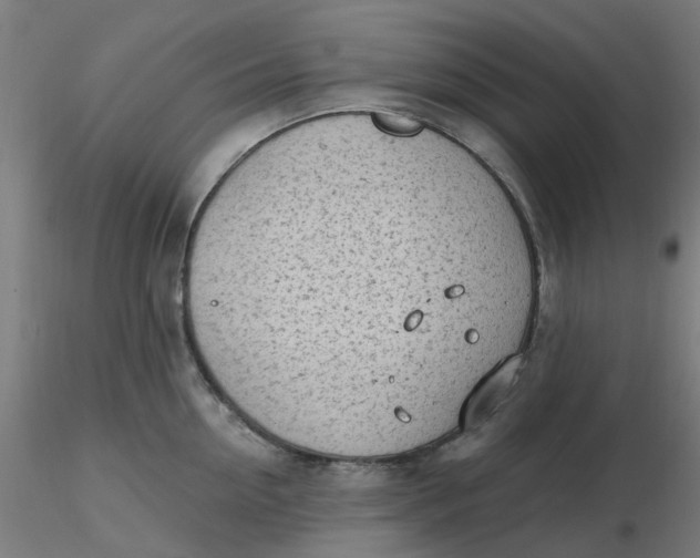 X0000116510954200912231230