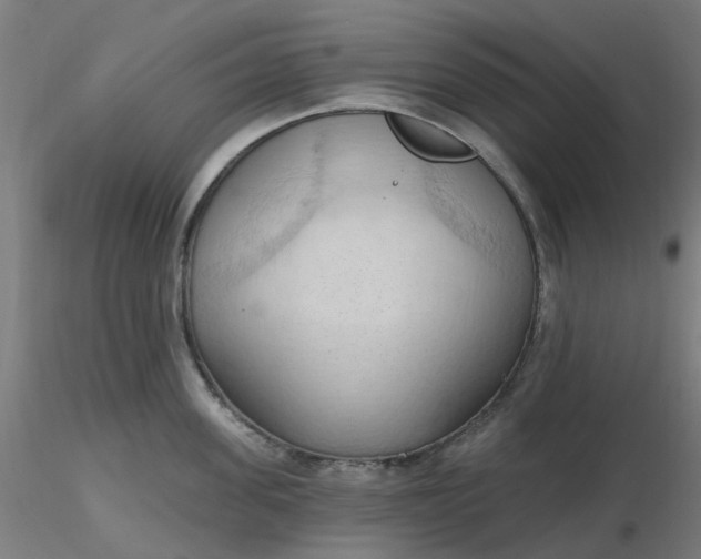 X0000116510955200912231230