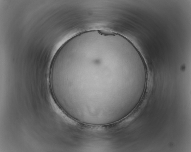 X0000116510957200912231230