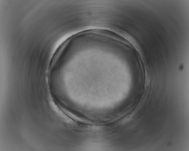 X0000116510958200912231231