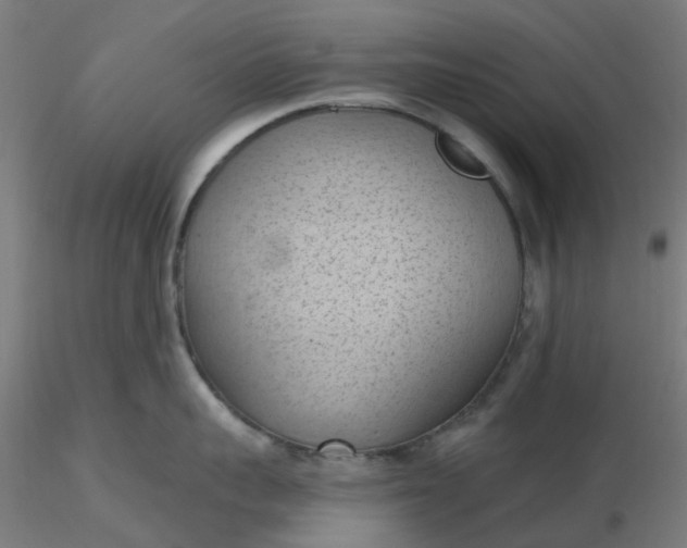 X0000116510959200912231231