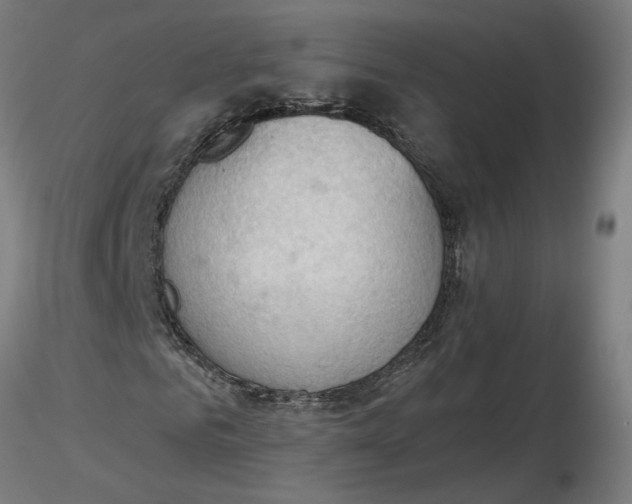 X0000116510961200912231230