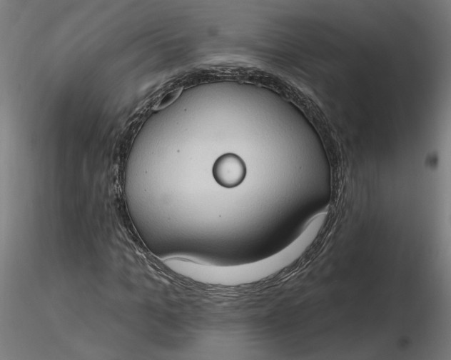 X0000116510965200912231230