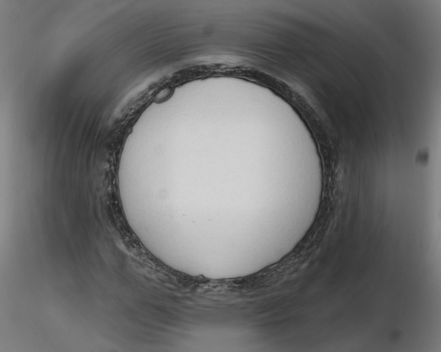 X0000116510967200912231230