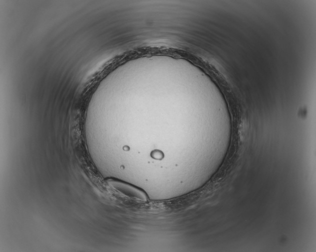 X0000116510968200912231230