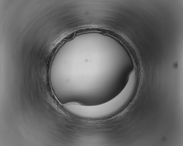 X0000116510969200912231230