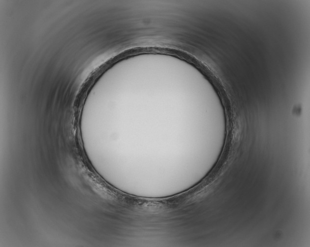 X0000116510974200912231230