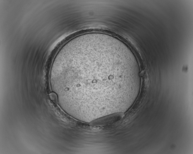 X0000116510975200912231230