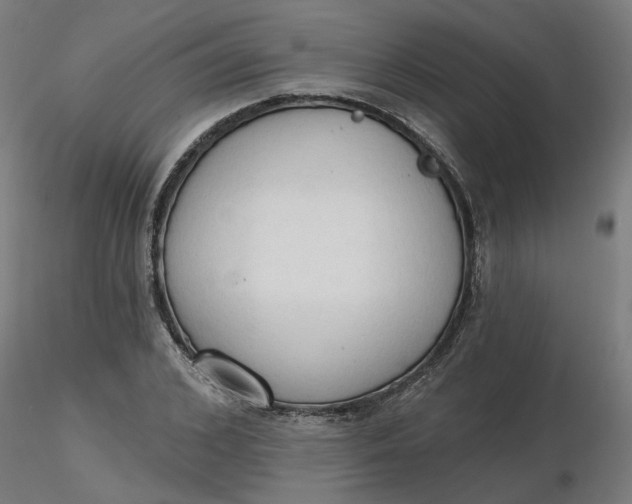 X0000116510976200912231230