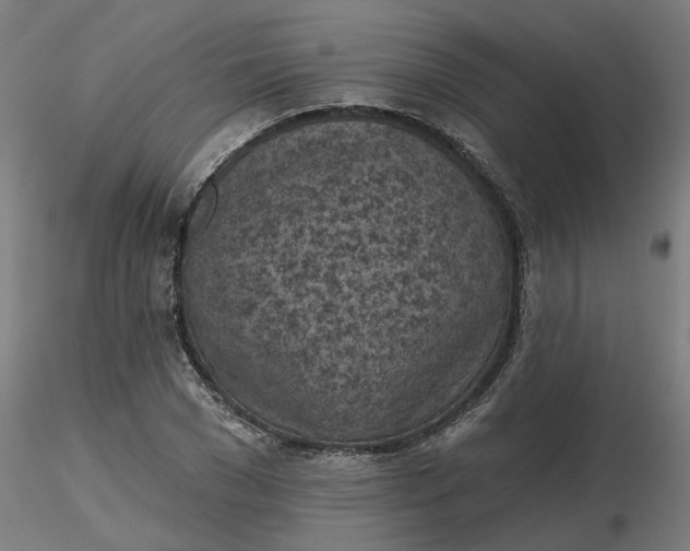 X0000116510977200912231230