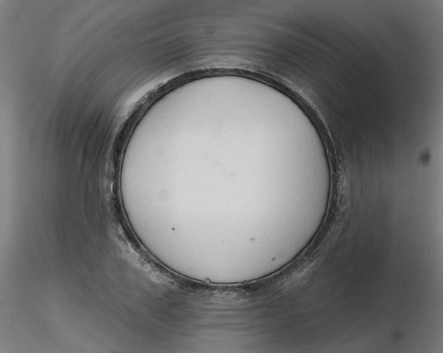 X0000116510979200912231230