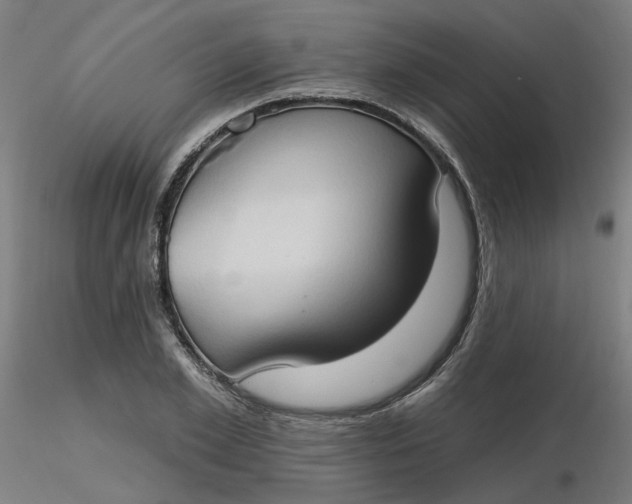 X0000116510981200912231230