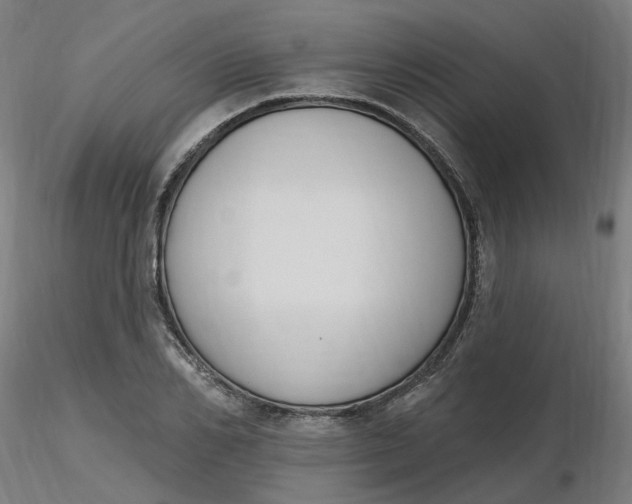 X0000116510982200912231230