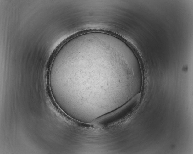 X0000116510983200912231230