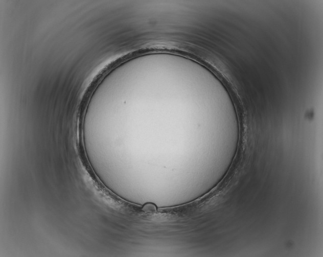 X0000116510984200912231230