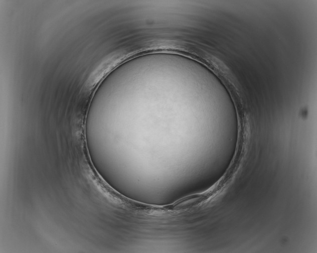 X0000116510985200912231230