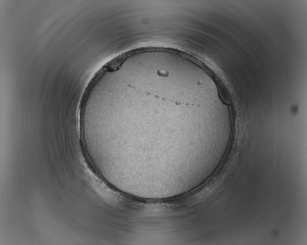 X0000116510988200912231230