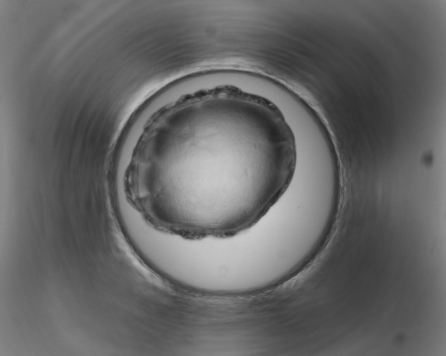 X0000116510989200912231230