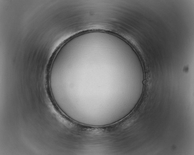 X0000116510991200912231229