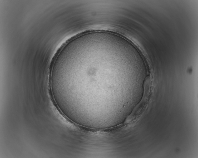 X0000116510992200912231229