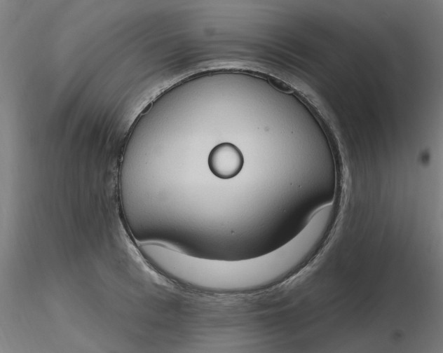 X0000116510993200912231229