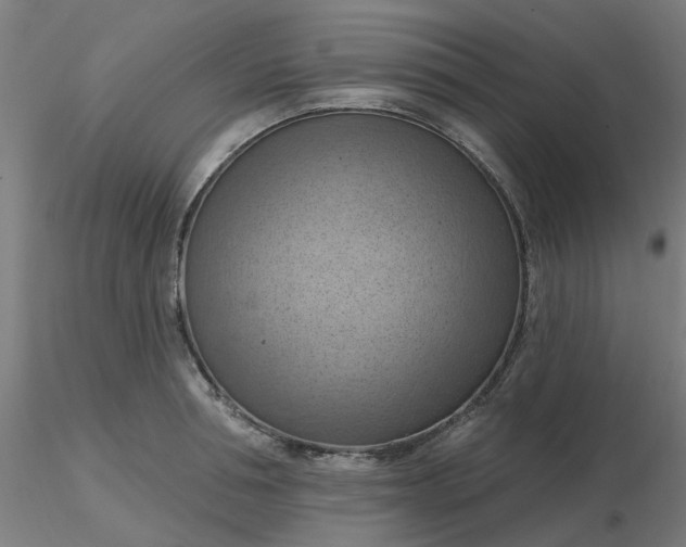 X0000116510994200912231229