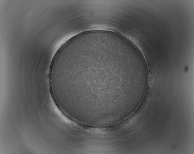 X0000116510995200912231229