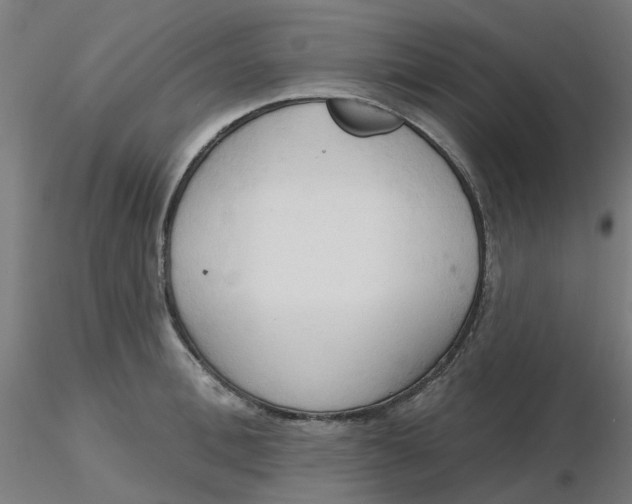 X0000116510996200912231229