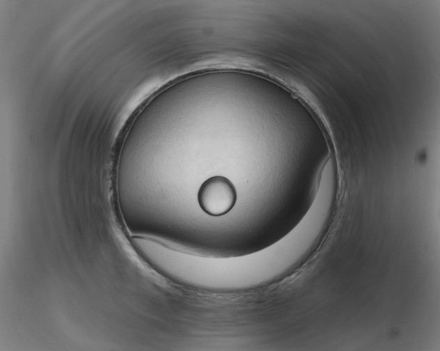 X0000116510997200912231229