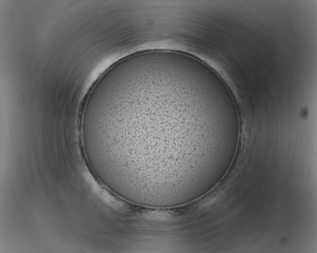 X0000116510998200912231229