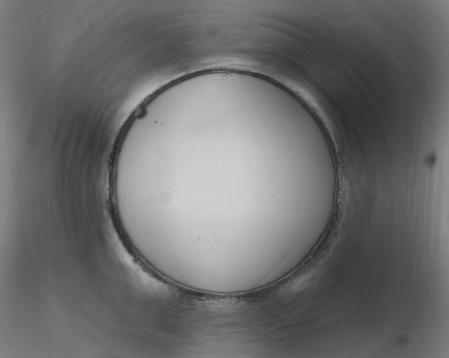 X0000116510999200912231229