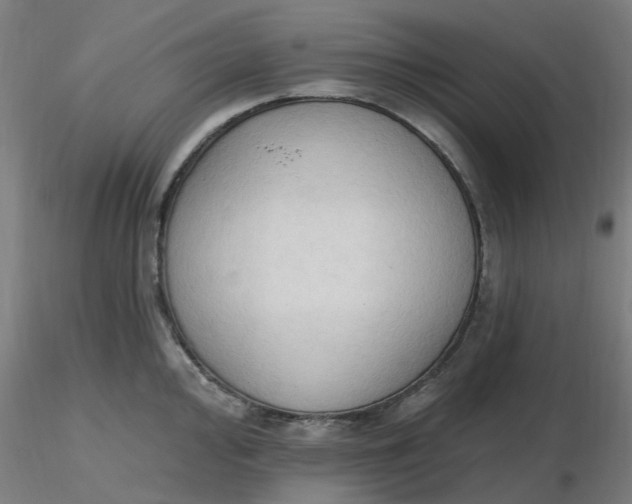 X0000116511000200912231229