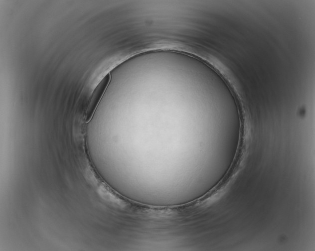 X0000116511001200912231229