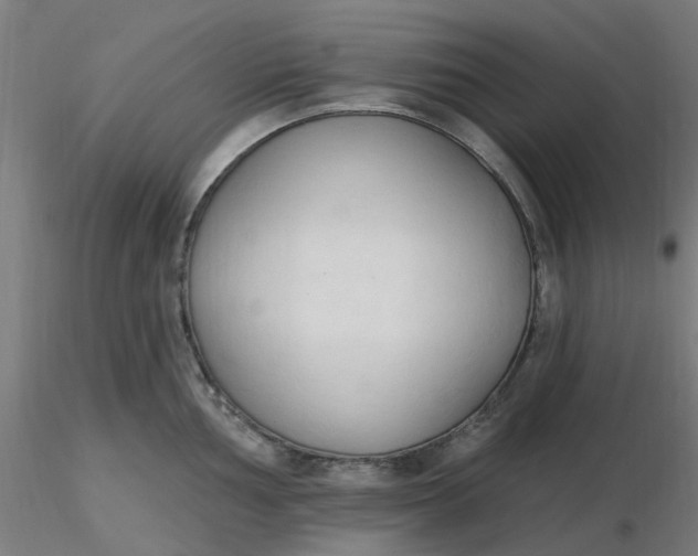 X0000116511002200912231229