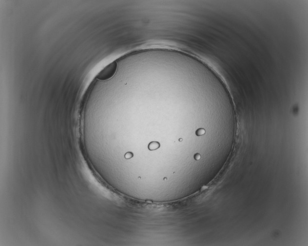 X0000116511003200912231229