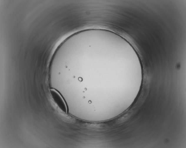 X0000116511004200912231229