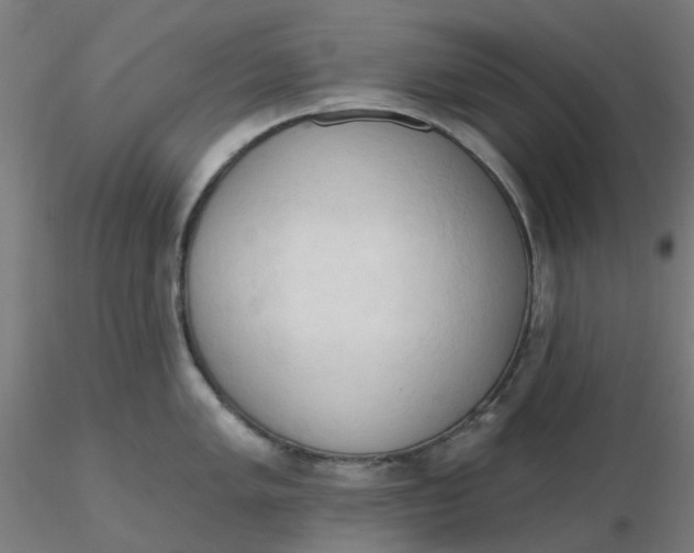 X0000116511005200912231229