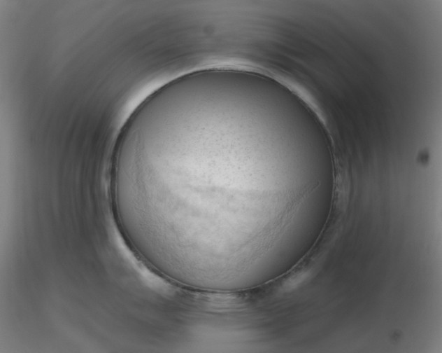 X0000116511007200912231229