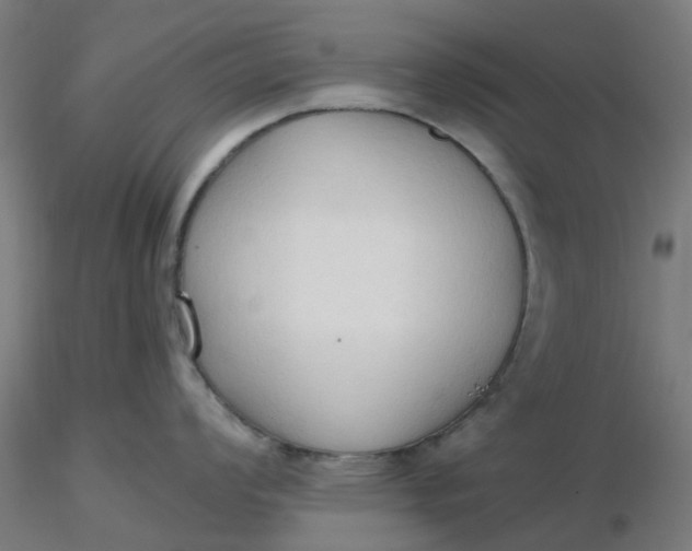 X0000116511008200912231229