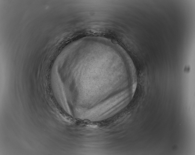 X0000116511009200912231229