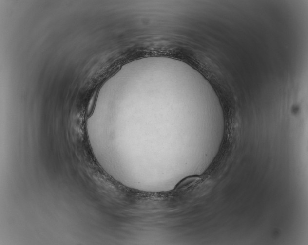 X0000116511010200912231229