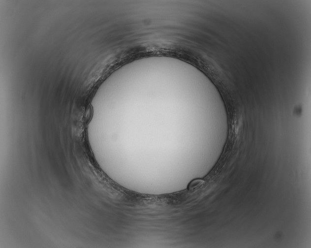 X0000116511012200912231229