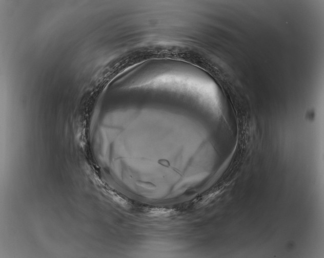 X0000116511013200912231229